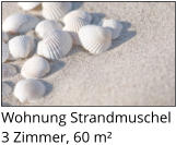 Wohnung Strandmuschel 3 Zimmer, 60 m²